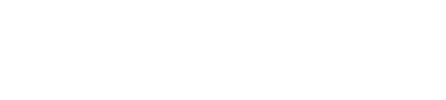 modl.ai-logo-white_100